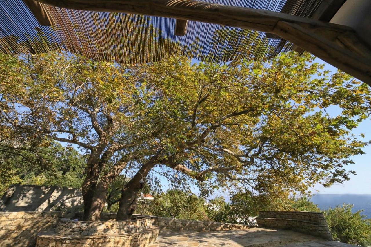 Ικαριων Γη Villa Manganitis Luaran gambar