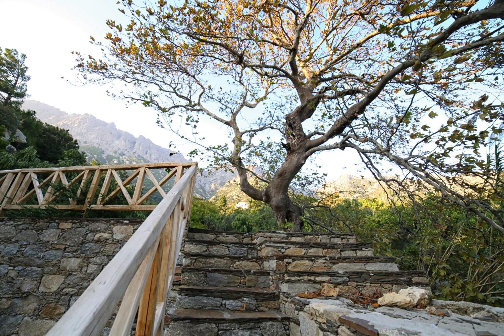 Ικαριων Γη Villa Manganitis Luaran gambar